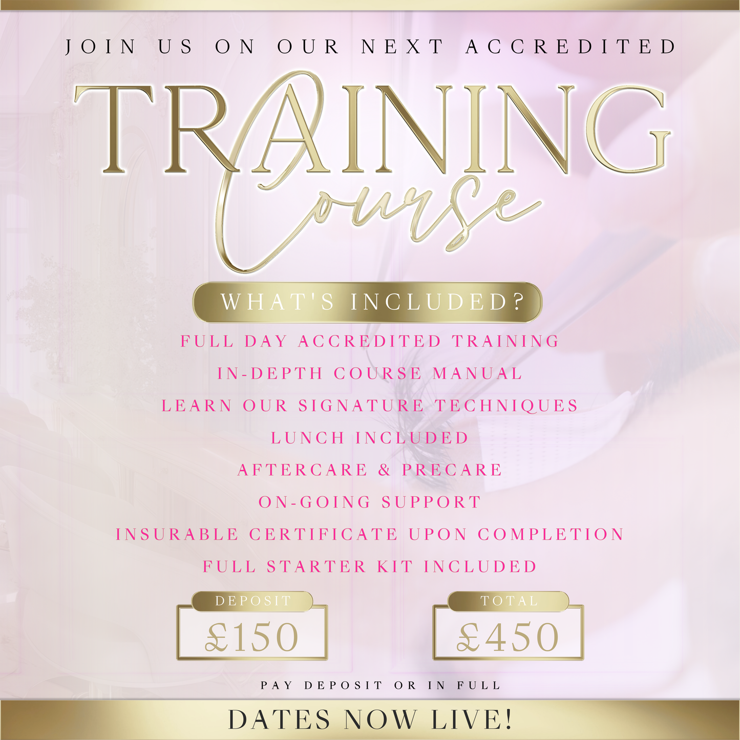 November Group Beginners Lash Course